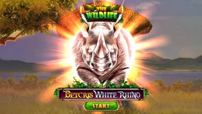 Cómo jugar tragamonedas Betcris White Rhino en México